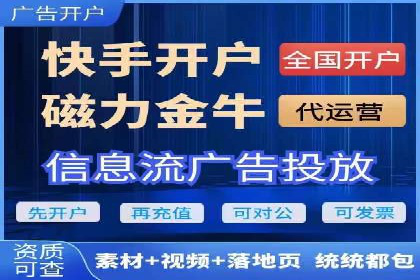 竞价广告案例分享：XX电商平台的成功秘诀